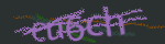 Enter the string shown in the image or use the following audio alternative